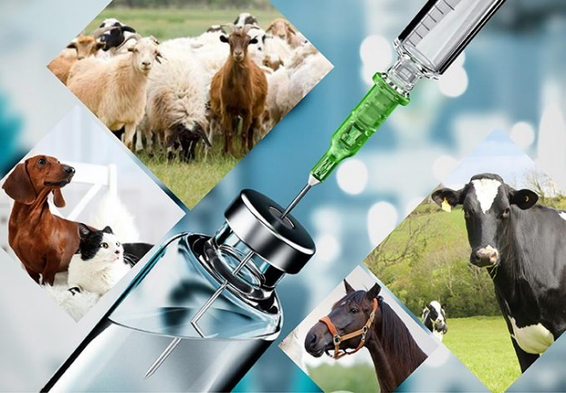 Agriculture and Veterinary Sciences