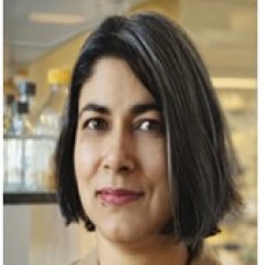 Prof. Lara Mahal