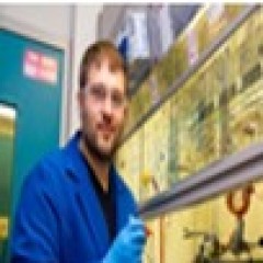 Prof. Thomas Maimone