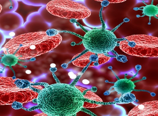 International Journal of Advances in Applied Biology and Biopharmaceutical Technology