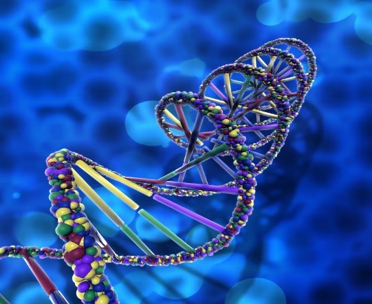 International Journal of advances in Molecular Biosciences and Biochemical Technology