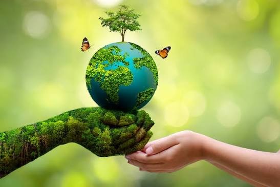 Research Journal of Agricultural and Environmental Sciences